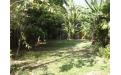 Lao style home for rent in Vientiane Laos