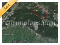 Cheap land for sale at Pakngum district in Vientiane Laos